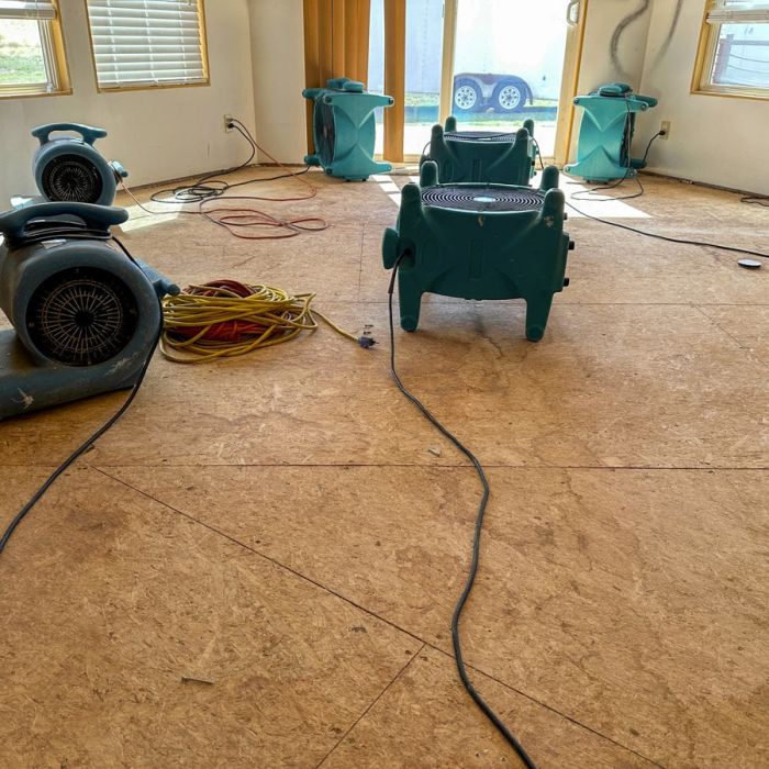 Quel déshumidificateur professionnel pour 50m2 ? Guide expert pour un choix adapté