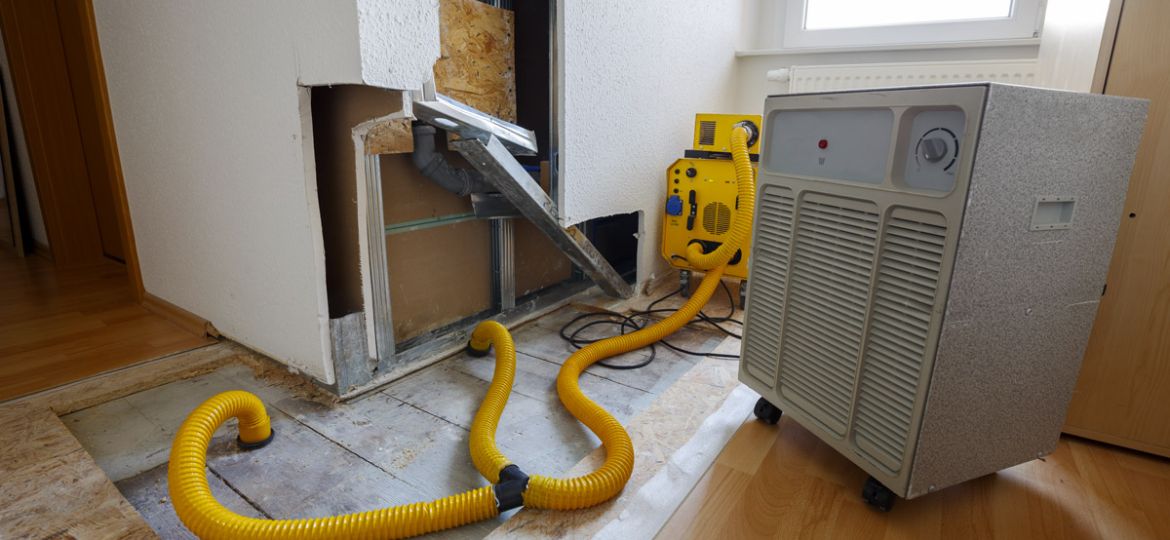 Location déshumidificateur après sinistre