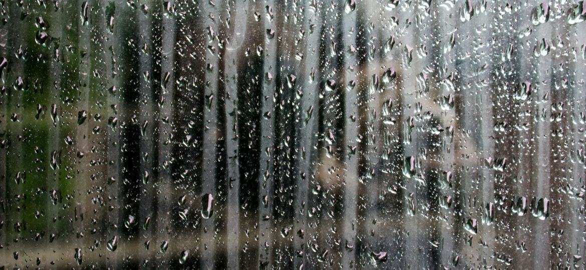 Locasec Article blog 1