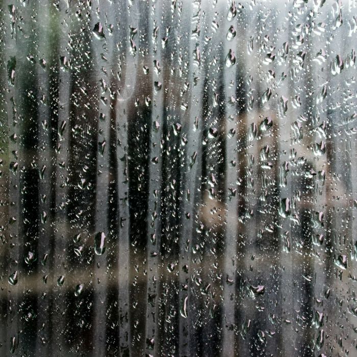 Humidité et santé : pourquoi agir rapidement ?