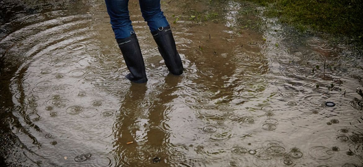 Locasec Article blog